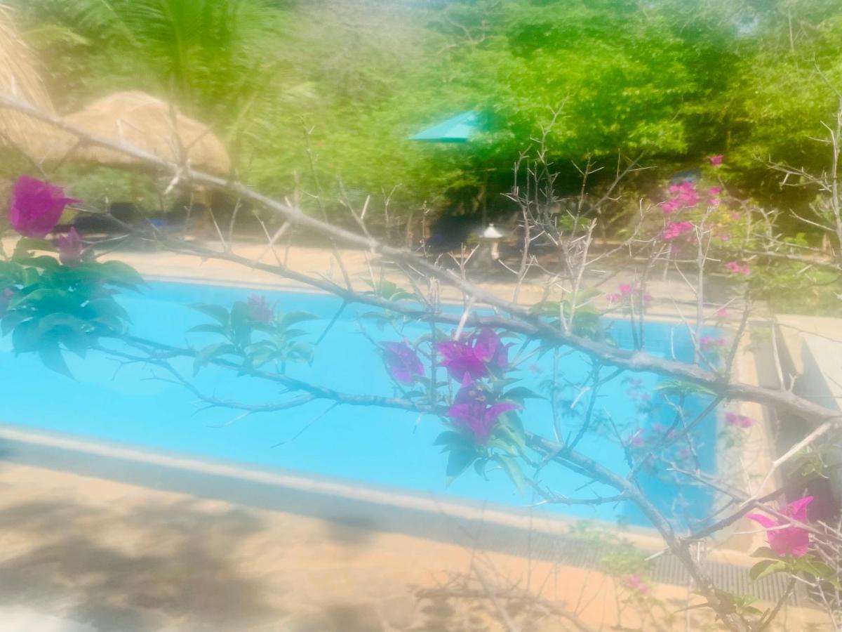 Shangri-Lanka Village 티사마하라마 외부 사진