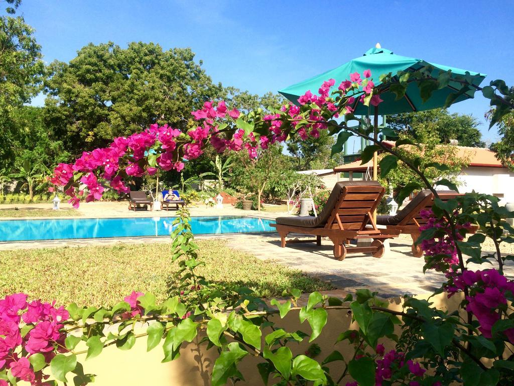Shangri-Lanka Village 티사마하라마 외부 사진